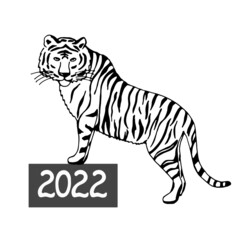 Happy Chinese new year of The Tiger. Hand drawn doodle style.