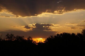 Obraz premium sunset over the field
