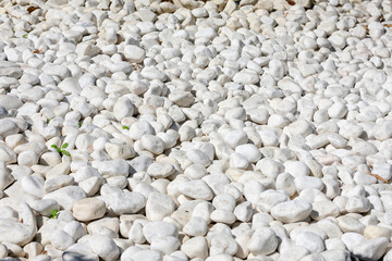 boulders or pebbles in a garden in Cadiz, Andalusia. Spain. Europe.
