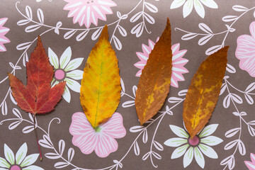 autumn leaves on a fancy floral paper background