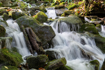 Fototapeta na wymiar Waterfall on Great Smoky Mountains