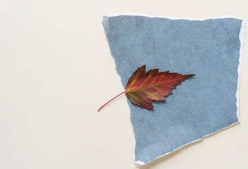 autumn leaf on a torn paper background 