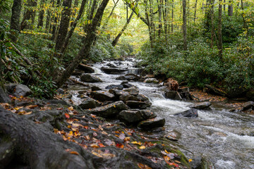 Mountain River Stream Flowing from Low-Height in Appalachia