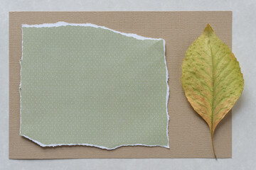 paper with leaf