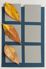 autumn leaves on a sheet of paper composed of squares