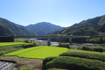 高知県四万十町　広井大橋