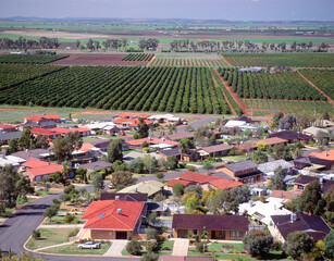 Fruit  orchards near the New South Wales town of Griffith.