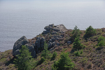 Pacific ocean coast in California north of the San Francisco bay