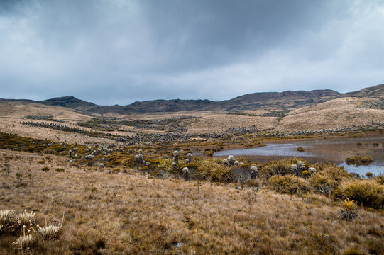 laguna y paramo en medio de las monta&ntilde;as