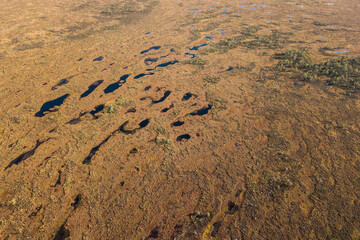 Aerial view of Vasenieki marsh and ponds in sunny autumn evening, Latvia.