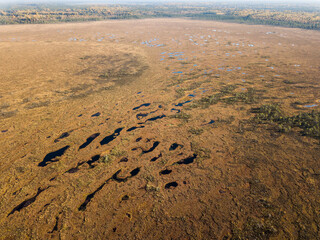 Aerial view of Vasenieki marsh and ponds in sunny autumn evening, Latvia.
