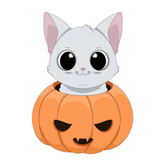 Zabawny biały kot chowający się w wydrążonej dyni. Ilustracja na Halloween. Cukierek albo psikus! Uroczy ręcznie rysowany mały kotek. Ilustracja wektorowa.