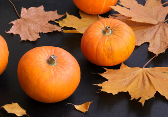 Small pumpkin and yellow maple leaves on dark background. Autumn concept. Selective focus.