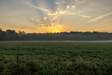 Indiana Fall Sunrise