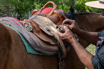 Argentine gaucho fixing horse saddle