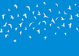 自由に群れ翔ぶ鳥　壁紙　背景