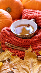 Autumn still life with fragrant cinnamon tea, scarf, pumpkins and yellow maple leaves. Fall concept.Selective focus. Shallow depth of field.