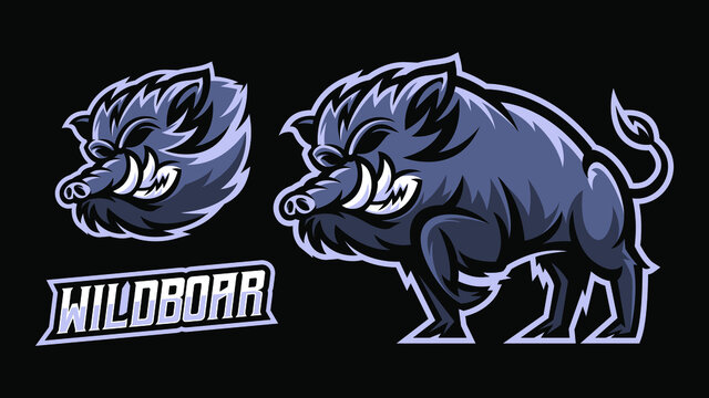 wild boar illustration