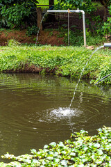 pond in a perma culture garden