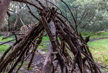 A wooden Lean-to type of construction made from sticks and logs in a forest clearing