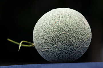 close up of cantaloupe melon