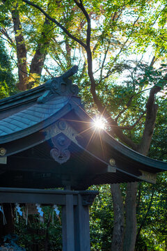 shrine, sunset,townview,autumn,sun,refrection,
神社,秋,町風景,夕暮れ,太陽,鳥居,