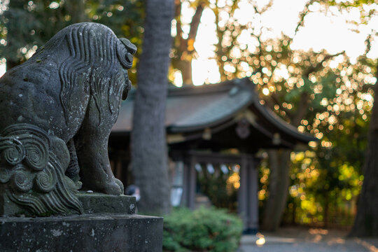 shrine, sunset,townview,autumn,sun,refrection,
神社,秋,町風景,夕暮れ,太陽,鳥居,