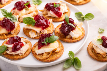 Party appetizers with turkey, brie and cranberry sauce