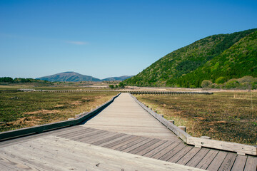 大分県九重町の長者原の風景
