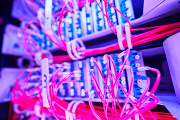 Pink optical fiber cables inserted into server switch