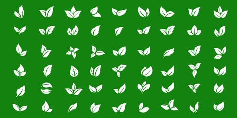 WHITE LEAF ICON LOGO TEMPLATE WITH GREEN BACKGROUND