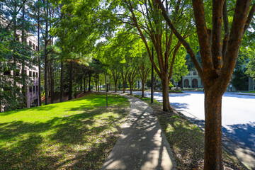 a long curving sidewalk surrounded by green grass and lush green and autumn colored trees along the...