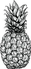 Black and white sketch of a pineapple