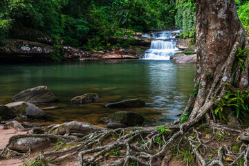 Fototapeta premium Tad Kham waterfall, Beautiful waterfall in Phu Langka national Park, Nakhon Phanom province, ThaiLand.