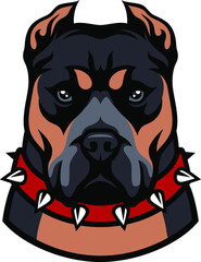 American Bully XL with Spiked Studded Collar Dog Breed