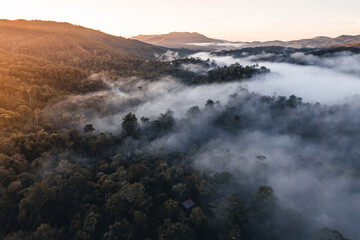 Mountains and trees at a rural village, high angle in the morning