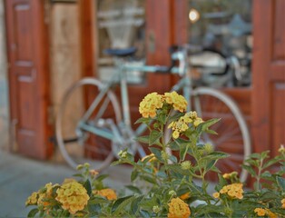 Bicicleta vintage y flores amarillas