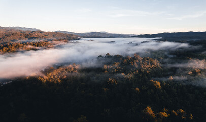 Mountains and trees at a rural village, high angle in the morning