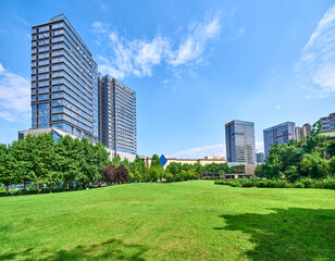 Green park developed in front of tall buildings