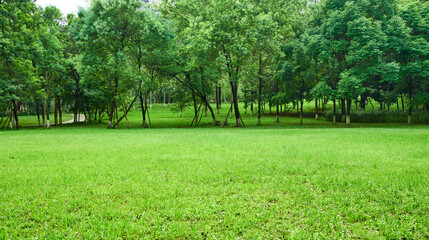 The park is full of vibrant lawns
