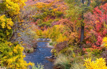 Fototapeta na wymiar Scenic South Fork Ogden river in Utah surrounded with beautiful color harmony of fall foliage