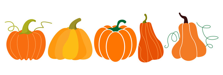 Happy Thanksgiving Pumpkin Icon Illustration Fall Autumn Harvest Thanksgiving Illustration