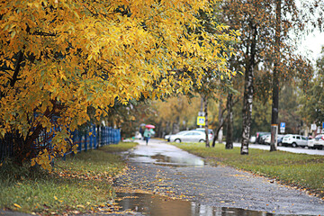 Autumn rain in the park