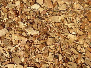 fresh cut natural wood chips ground cover shavings sawmill debris