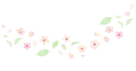桜の花の水彩イラスト素材