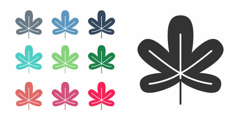 Obraz premium Black Chestnut leaf icon isolated on white background. Set icons colorful. Vector