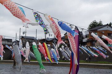 風にまう鯉のぼり