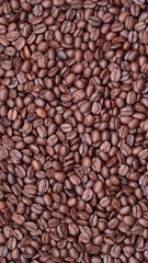 coffee beans background