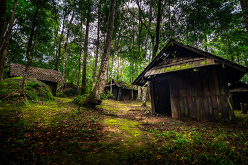 Fototapeta na wymiar Old wooden cabin , moss on roof in Thailnd forest