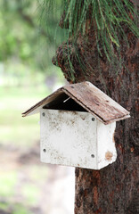 Close up wooden squirrel or bird house hanging on the tree